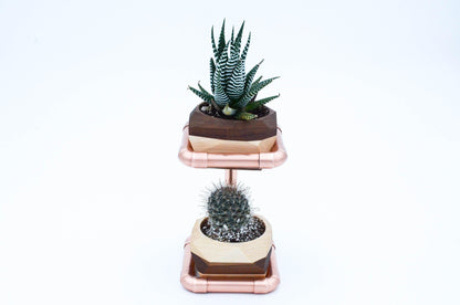Geometric Double Cactus & Succulent Planter with - The Higher Flower
